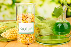 Pollok biofuel availability